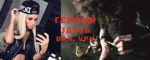мет Алексин