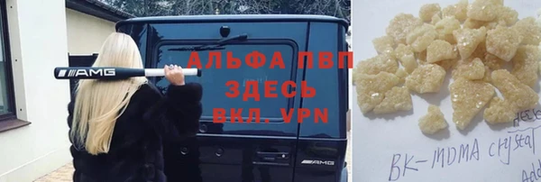 мет Алексин